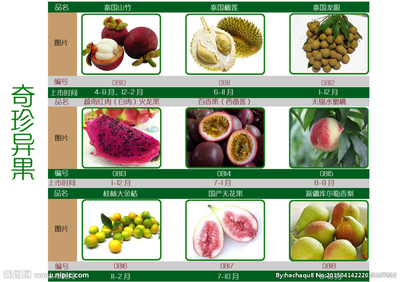 水果銷售傳單設計圖 打造吸睛淘寶店鋪裝修方案