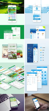 UI設計與軟件開發生態 從App、小程序到網站的全鏈路解析
